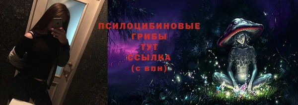 стаф Киреевск
