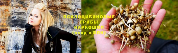 ECSTASY Алексин